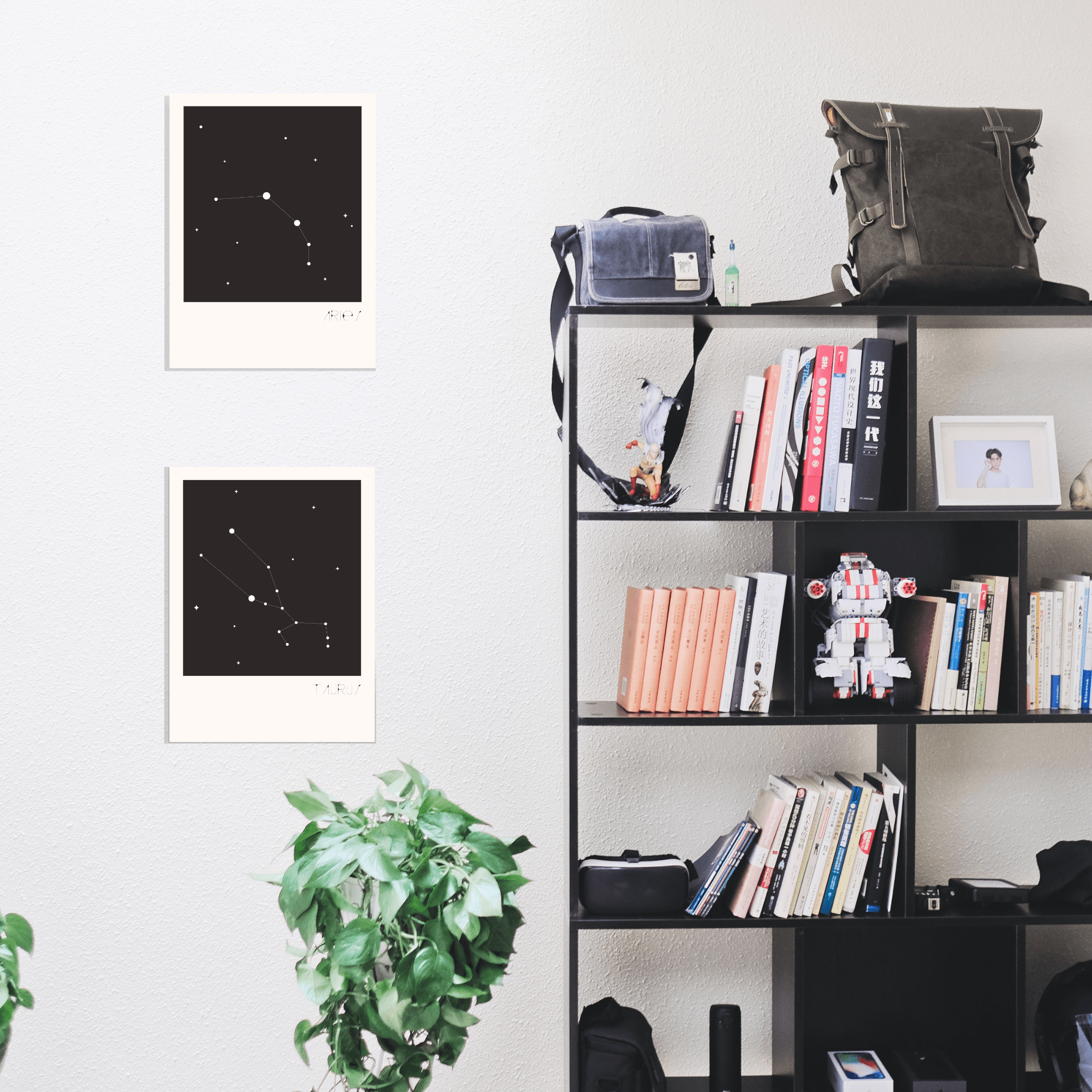 Onyx Constellation Canvas