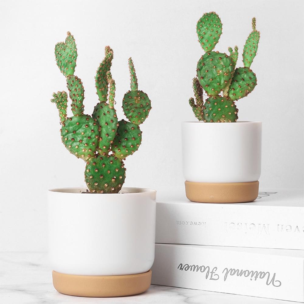 automatic succulent watering Self-Watering Plant Pot – Still Serenity