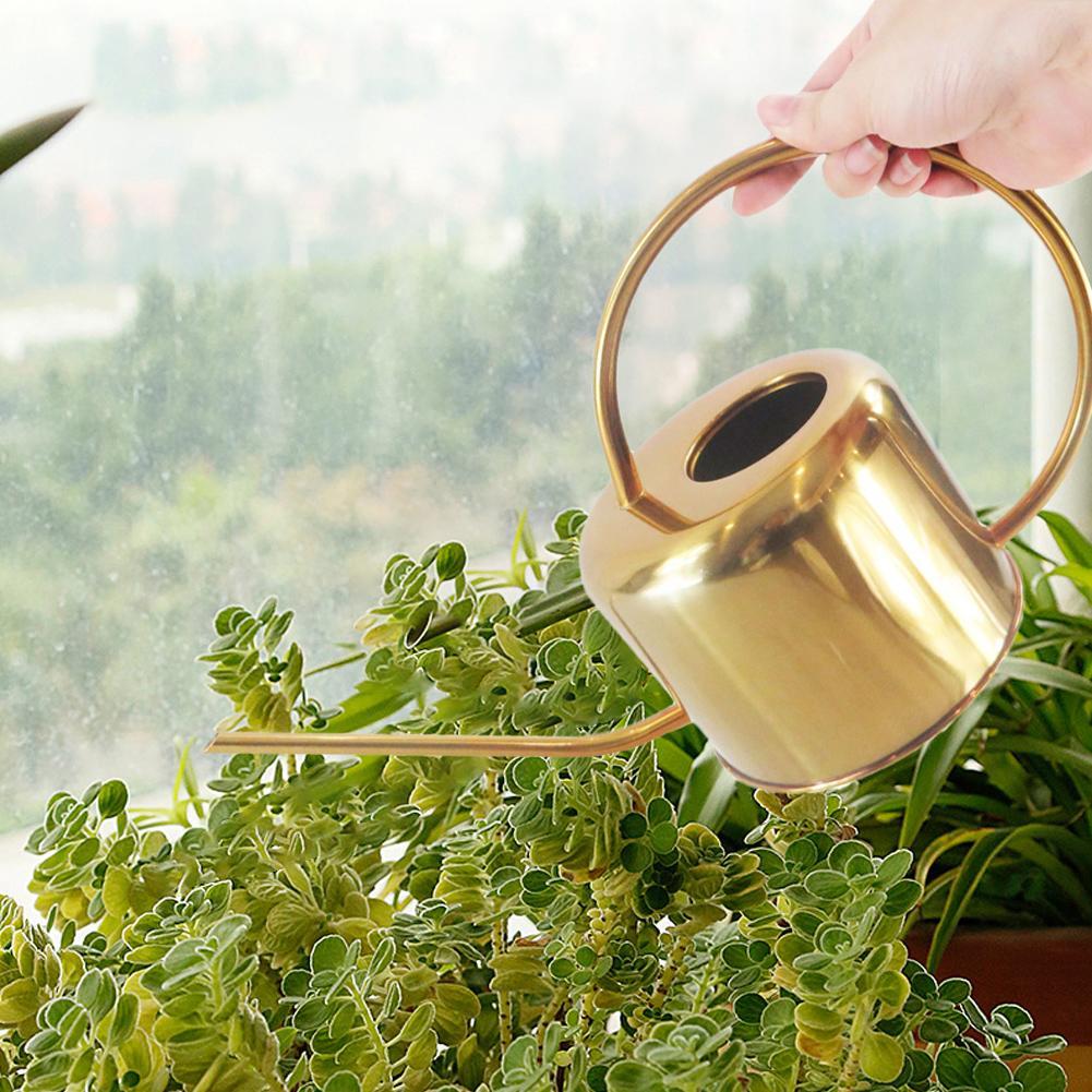Elliptical Watering Can