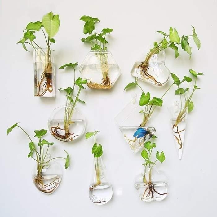 hydroponic hanging planter Hydroponic Glass Pot