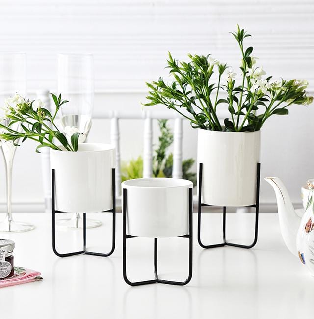 Trinity Pot