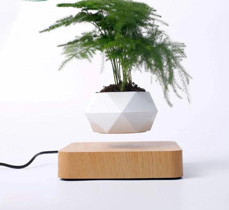 Levitating Pot
