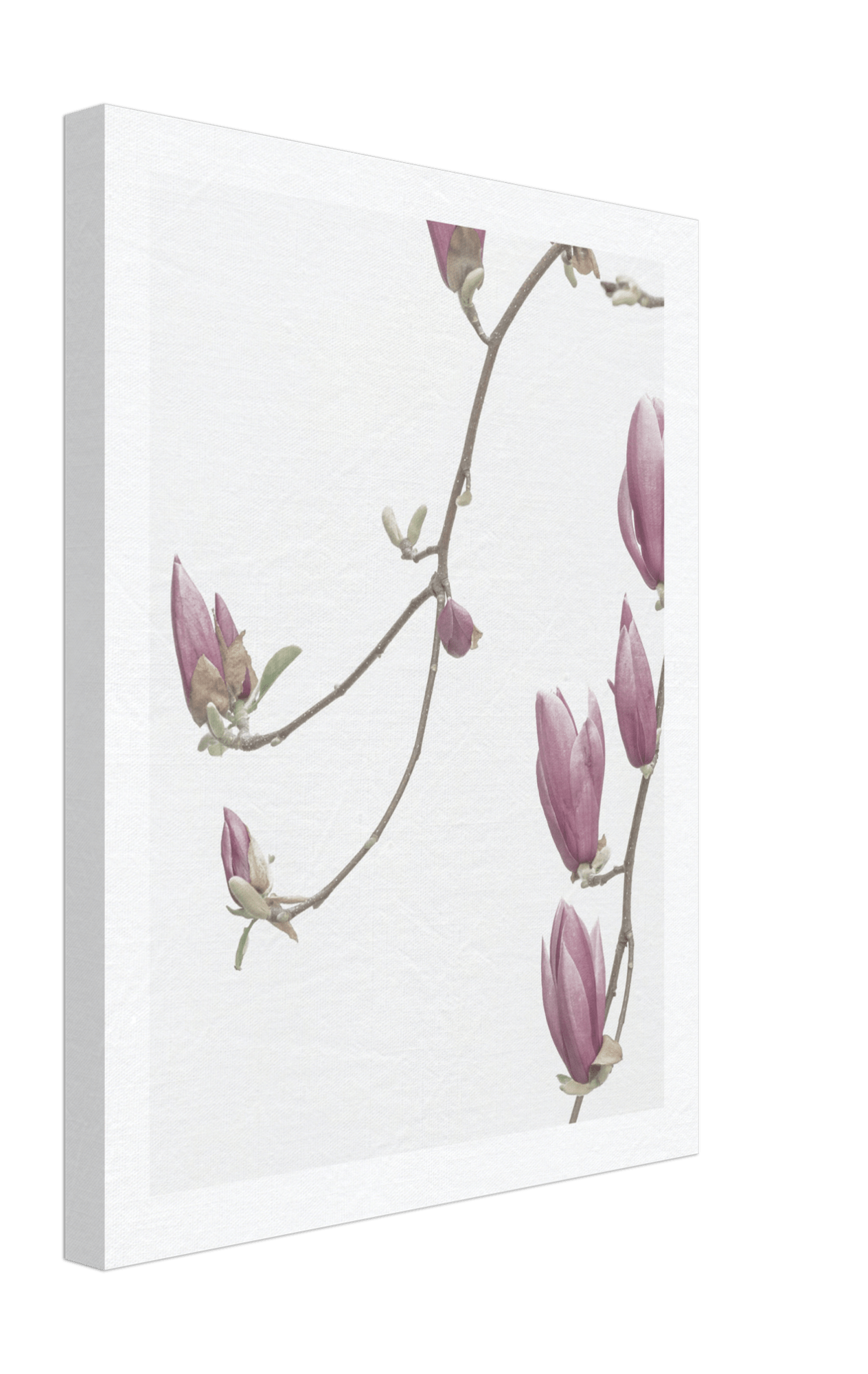 Bloom Canvas