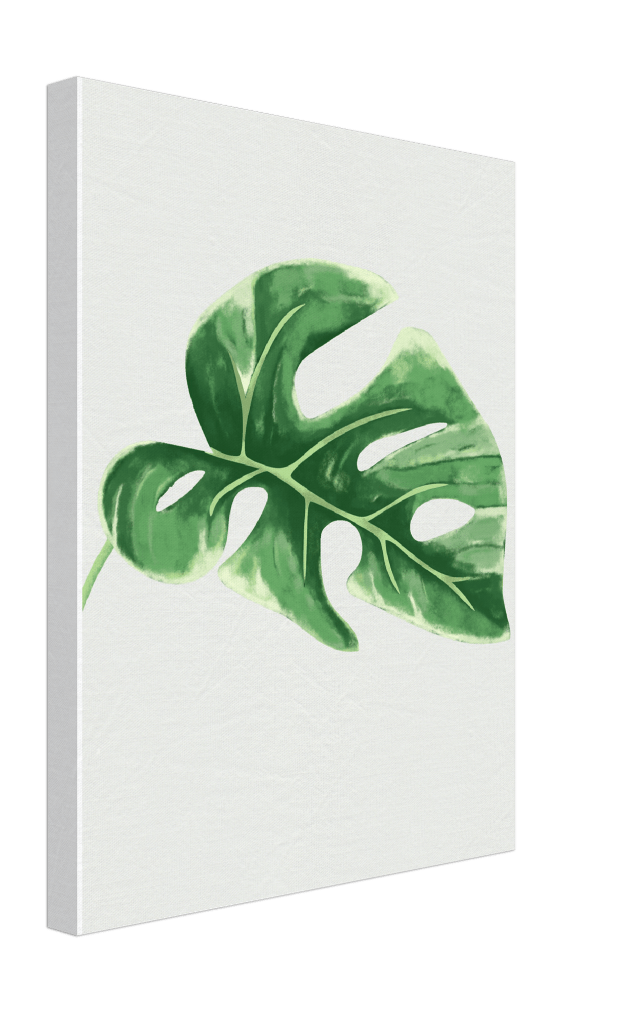 Foliage Canvas
