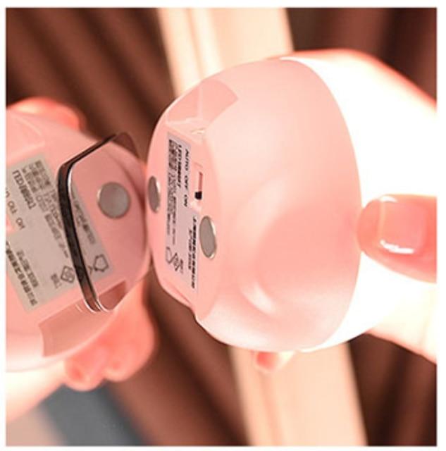 Rechargeable Light Bulb