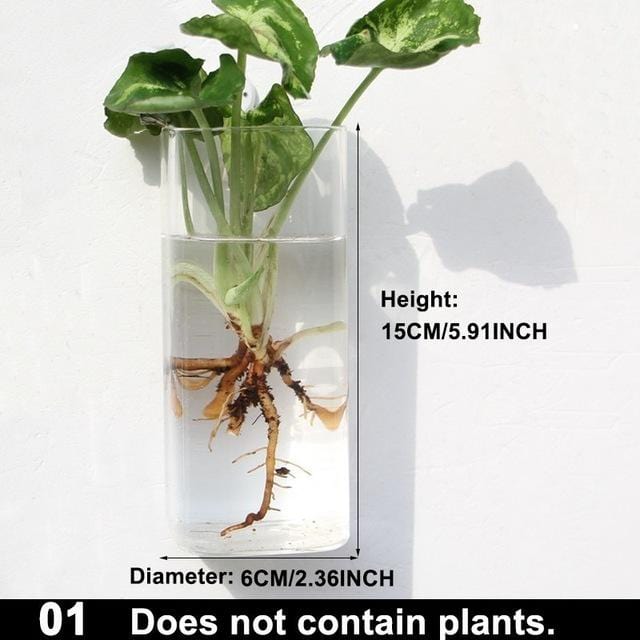 Hydroponic Glass Pot