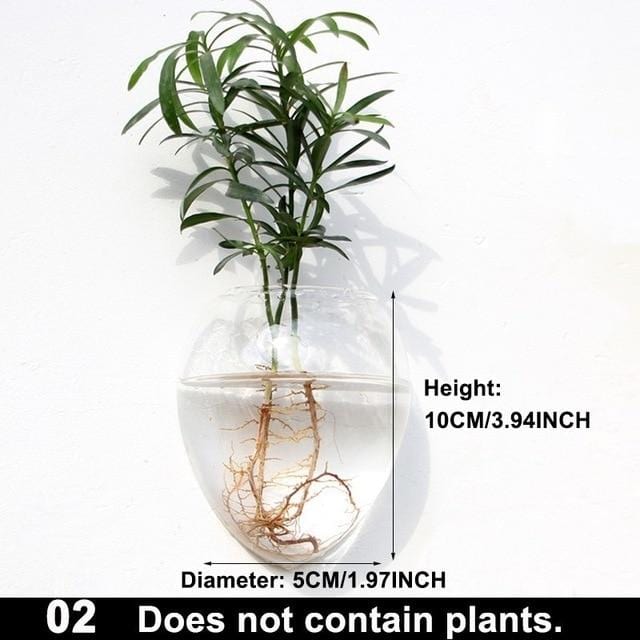 Hydroponic Glass Pot