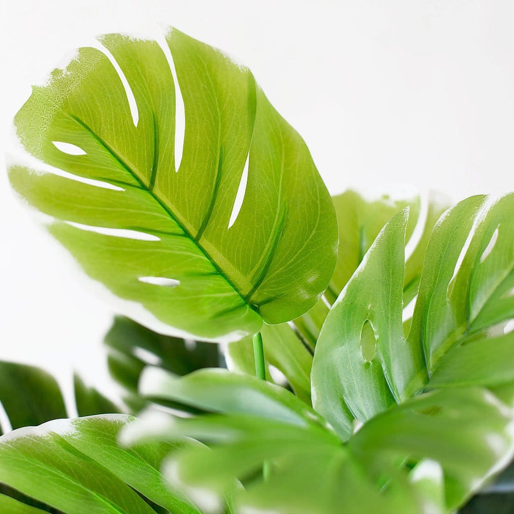 monstera turtle leaf plant Artificial 18 Branches Monstera Leaves Simulation Turtle Leave Plant Home Garden Office Party Plants Leaf Decoration (Green)