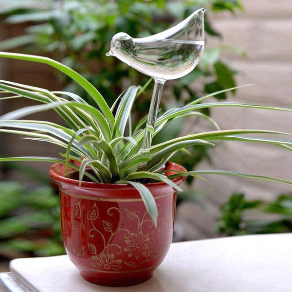 self watering plant glass birds Self Watering Glass Bird – Still Serenity