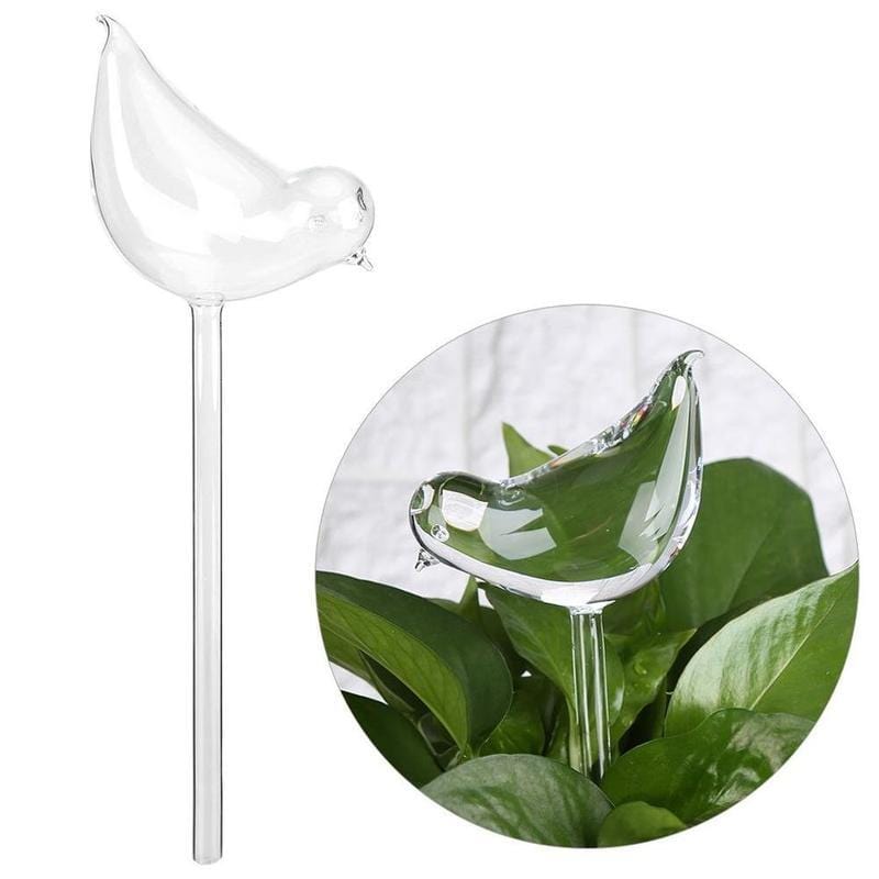 thumbnail image 2 of Evergreen Self-Watering Globe - HPG Brands 2 of 12