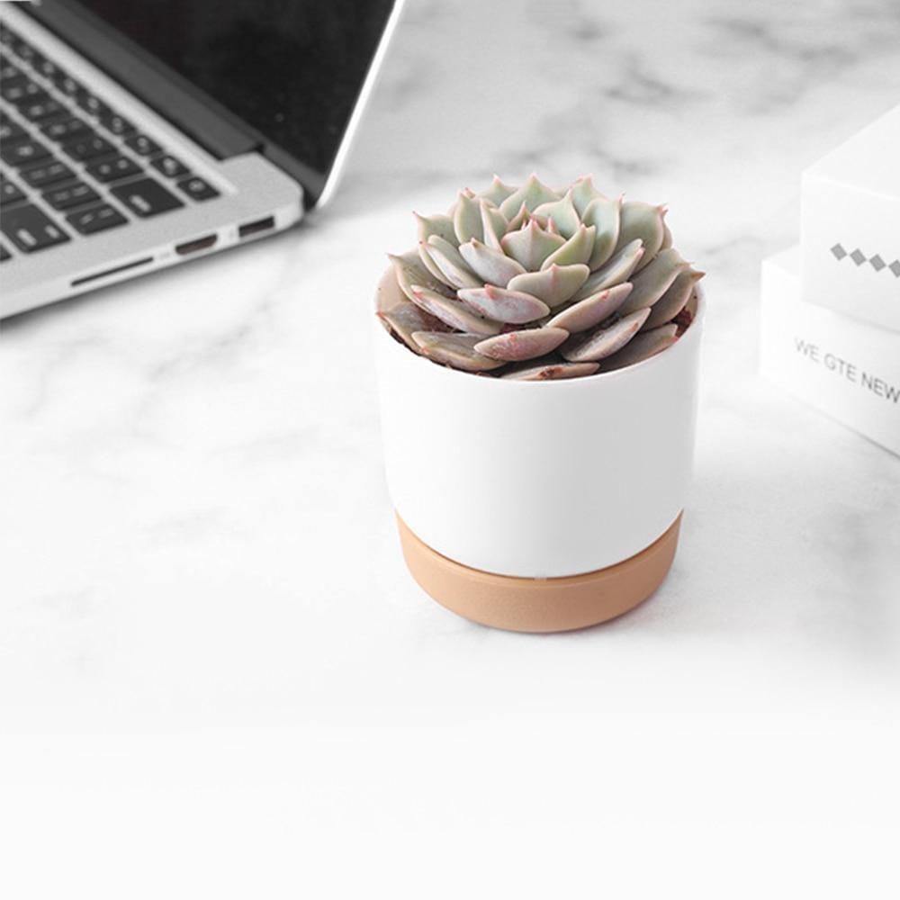 succulent self watering pot Self-Watering Plant Pot – Still Serenity