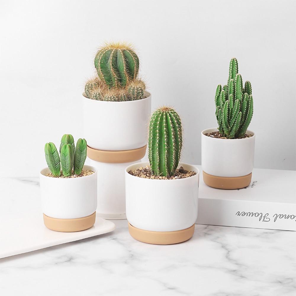 Self-Watering Plant Pot – Still Serenity