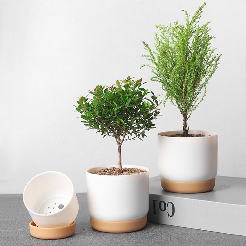bonsai tree self watering pot Self-Watering Plant Pot – Still Serenity