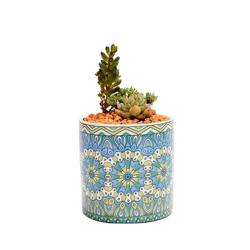mandala succulent Mandala Succulent Planter – Still Serenity
