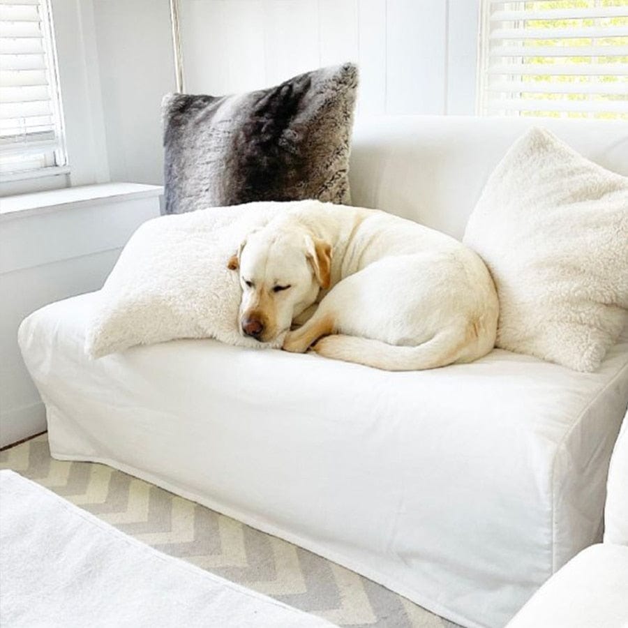 Teddy pillow case outlet