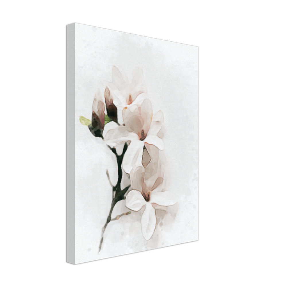 Magnolia Canvas