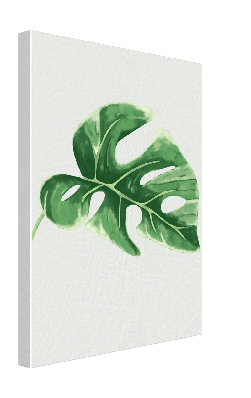 Foliage Canvas