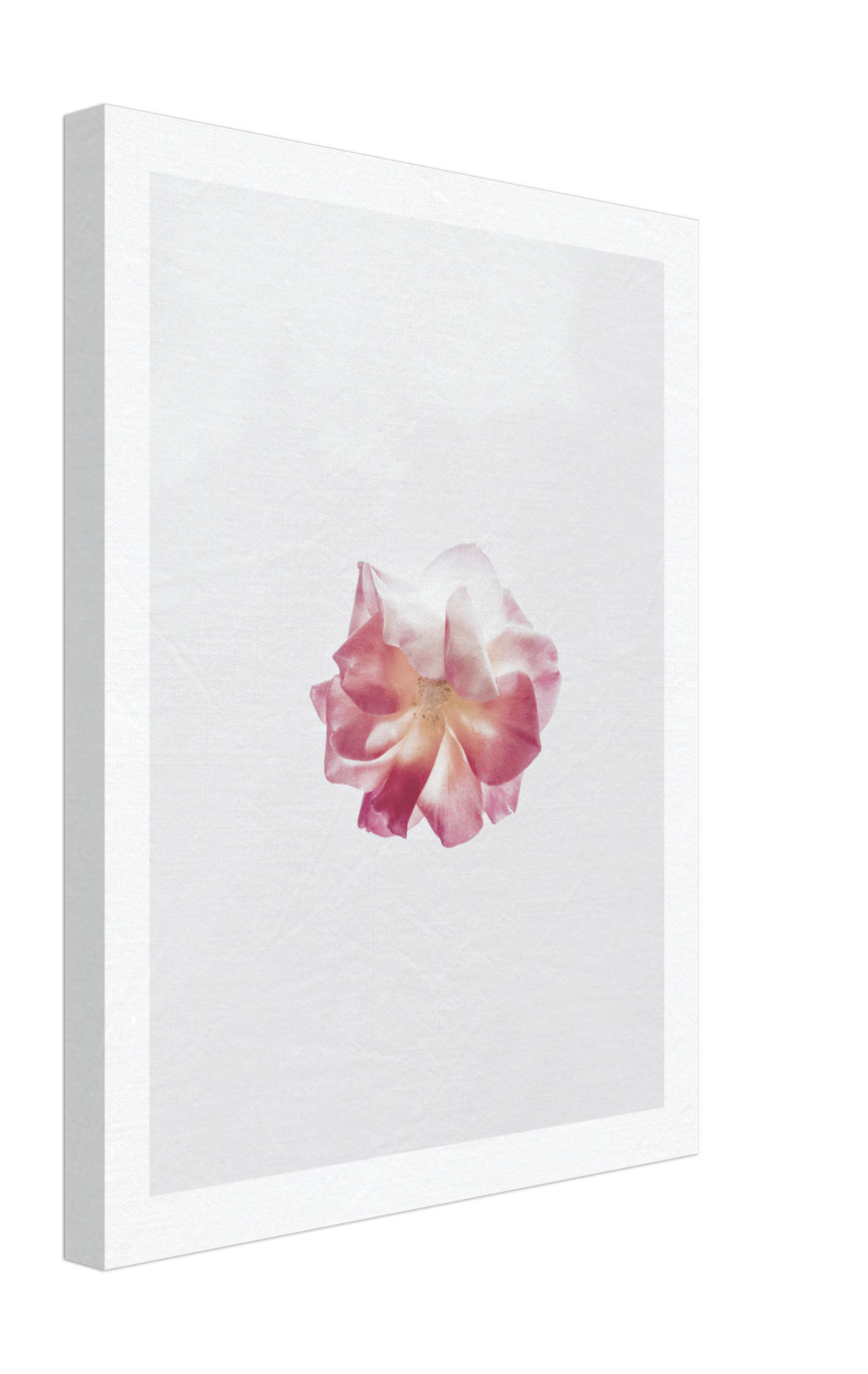 Bloom Canvas