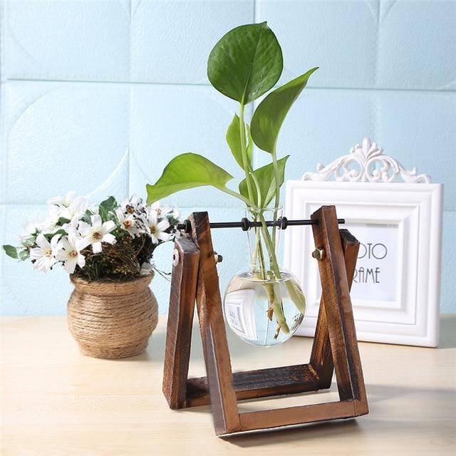desktop plant terrarium Desktop Terrarium – Still Serenity