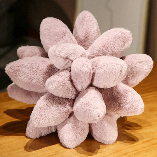 pink succulent pillow Succulent Pillow – Still Serenity