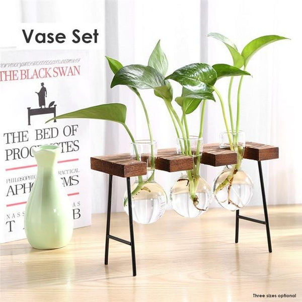 desktop plant terrarium Desktop Terrarium – Still Serenity